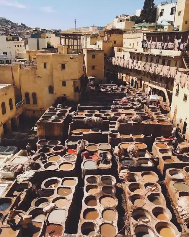 免签进一步扩大开放,免签后游客暴涨