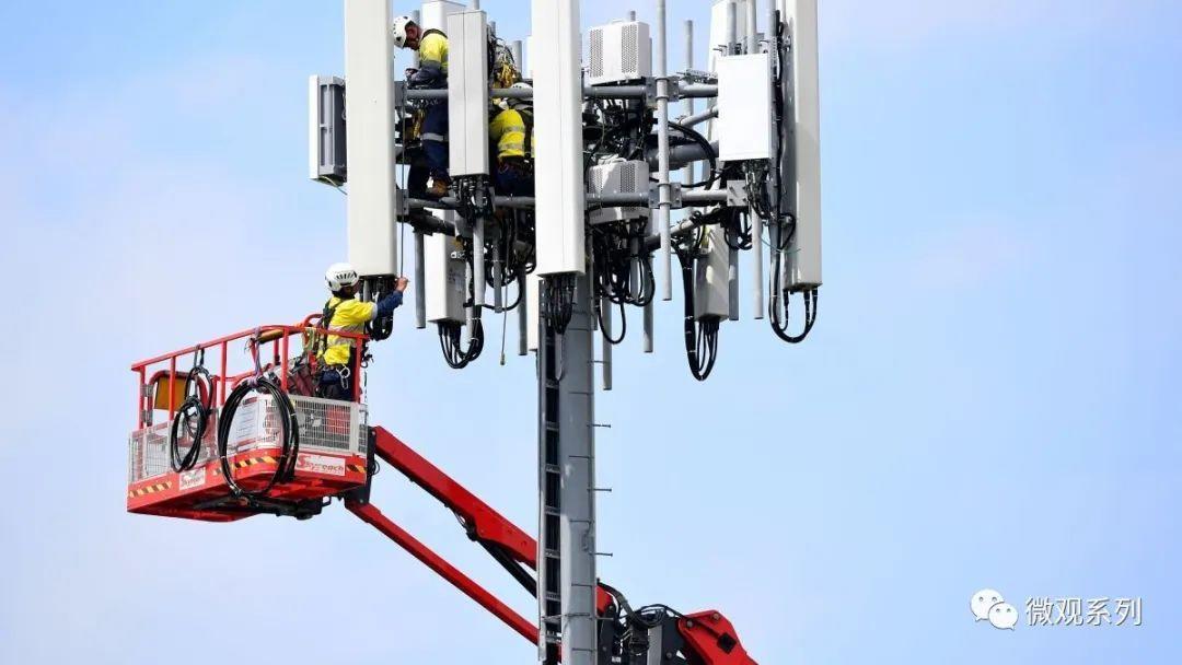 信息韭菜们的狂欢