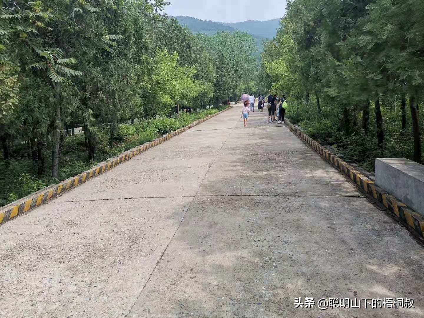 蟒山国家森林公园自由行攻略,北京蟒山森林公园游玩攻略