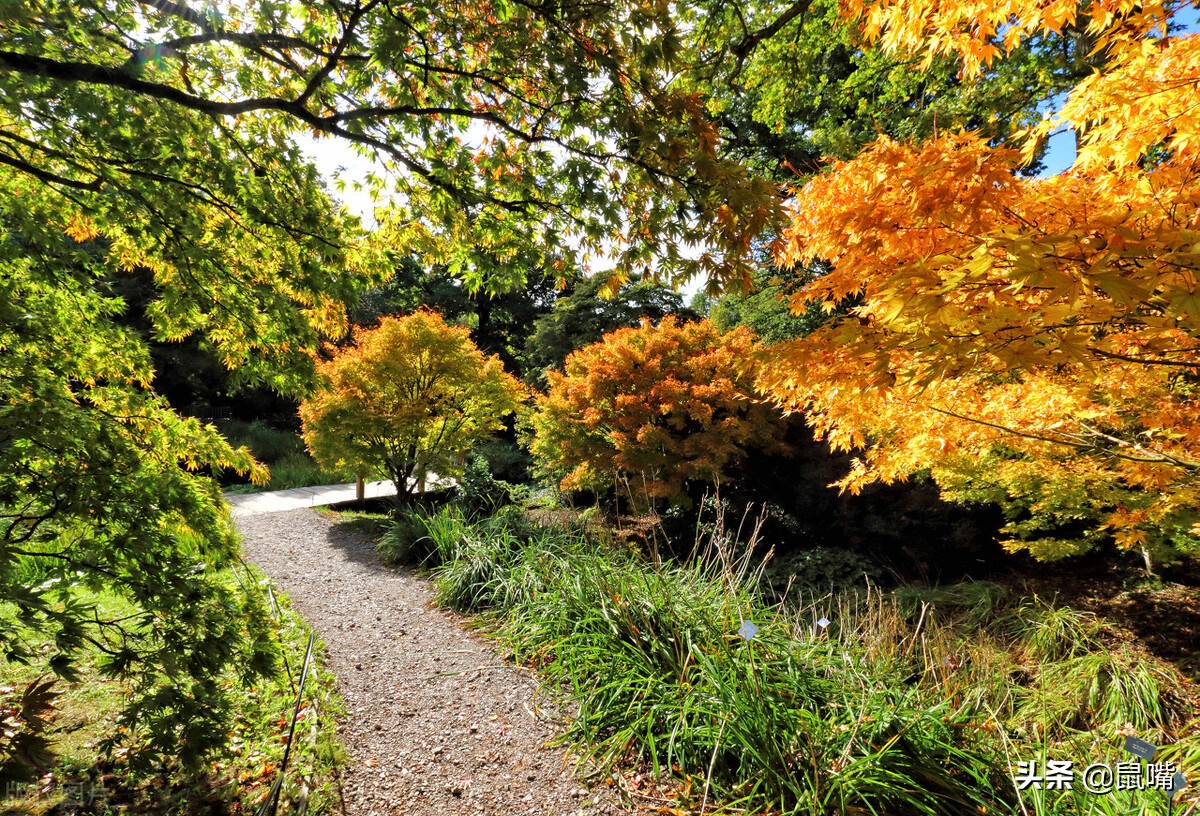 庄子外物原文及译文,庄子胠箧原文及译文