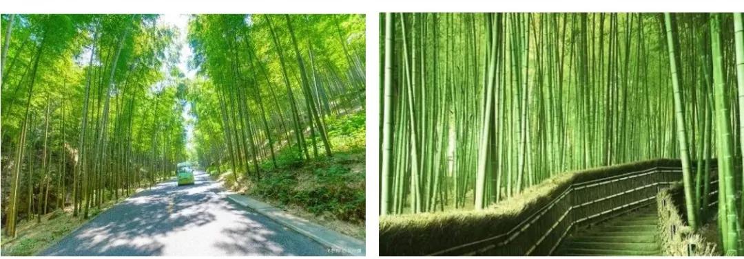 距离杭州45min的县城，竟藏着个“小新西兰”，趁人少快去