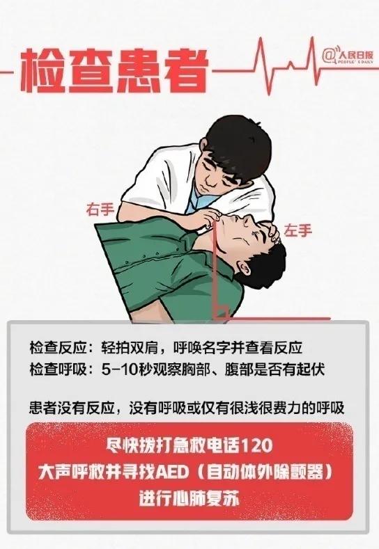 欧洲杯抢救全程,欧洲杯生死战