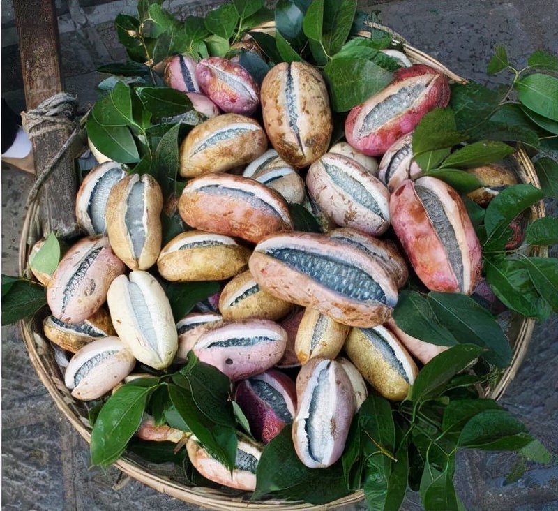 八月炸又名什么,八月炸和什么水果味道一样