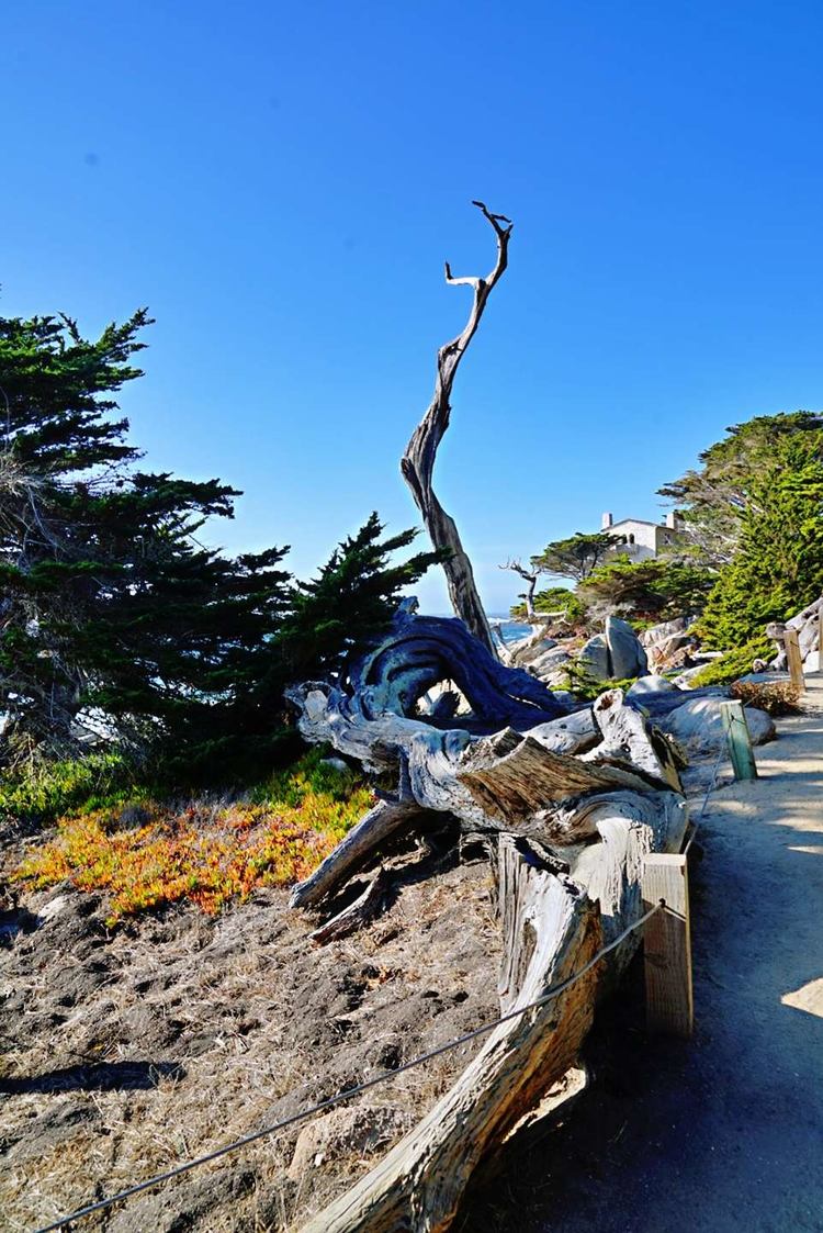 美国德州西部自由行,美国西海岸可以自由航行么