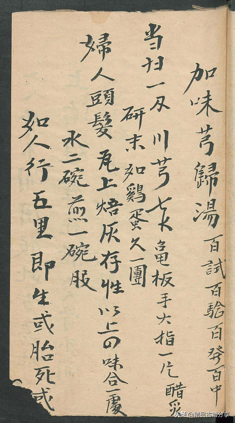 民间中医古籍书籍大全,民间看病书