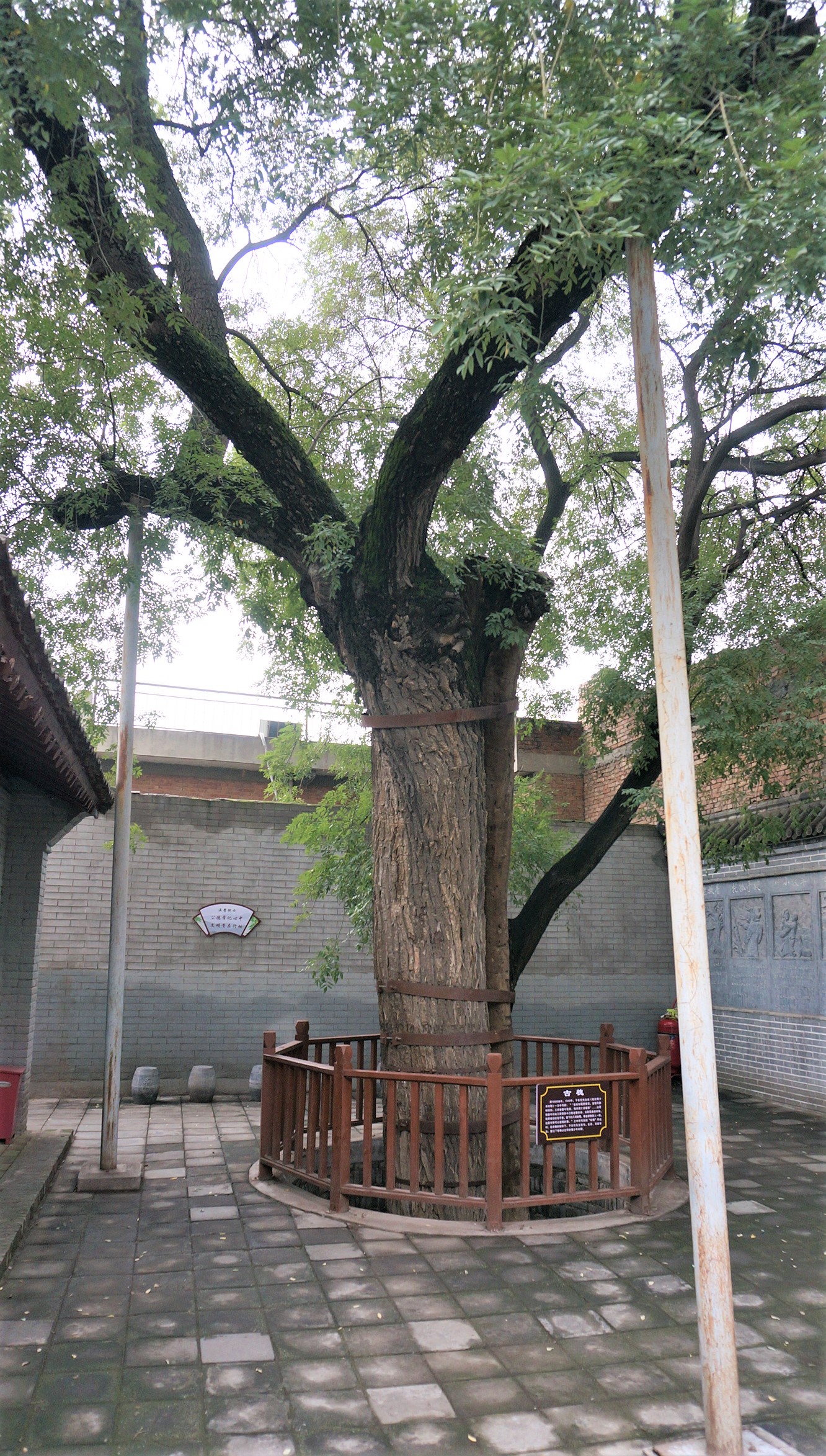 ３间简朴的故居，１位清廉的大师，思乡心愿何时了？