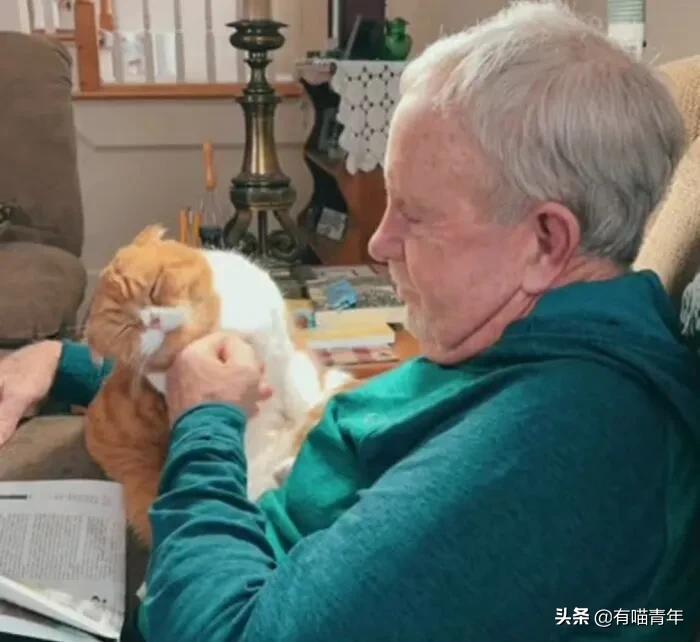 养猫也能治疗癌症?是真的