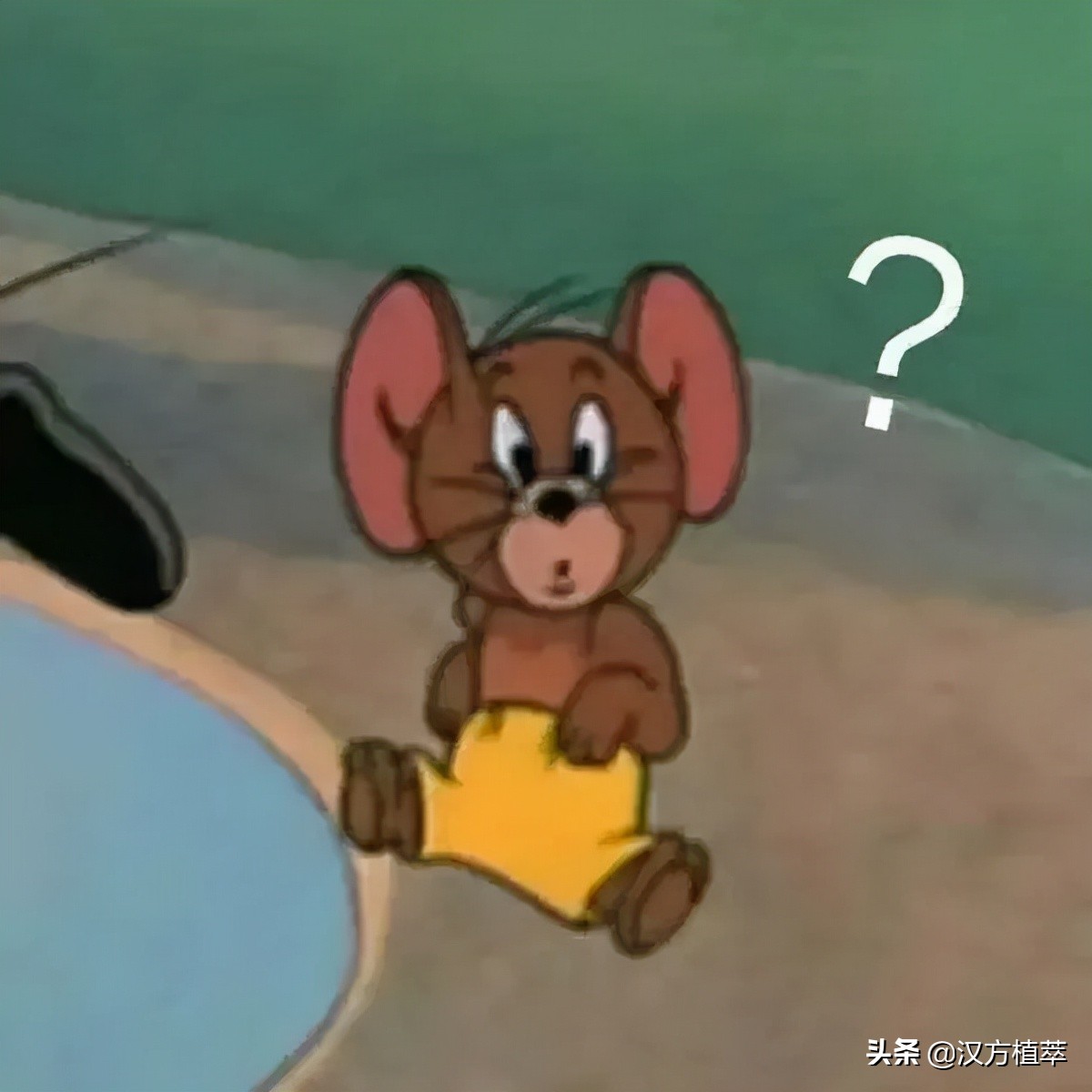 拔罐减肥瘦了30斤食谱,拔罐减肥一周能瘦多少