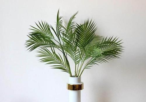 鲜花插花技巧专业术语,插花常见鲜花名称大全