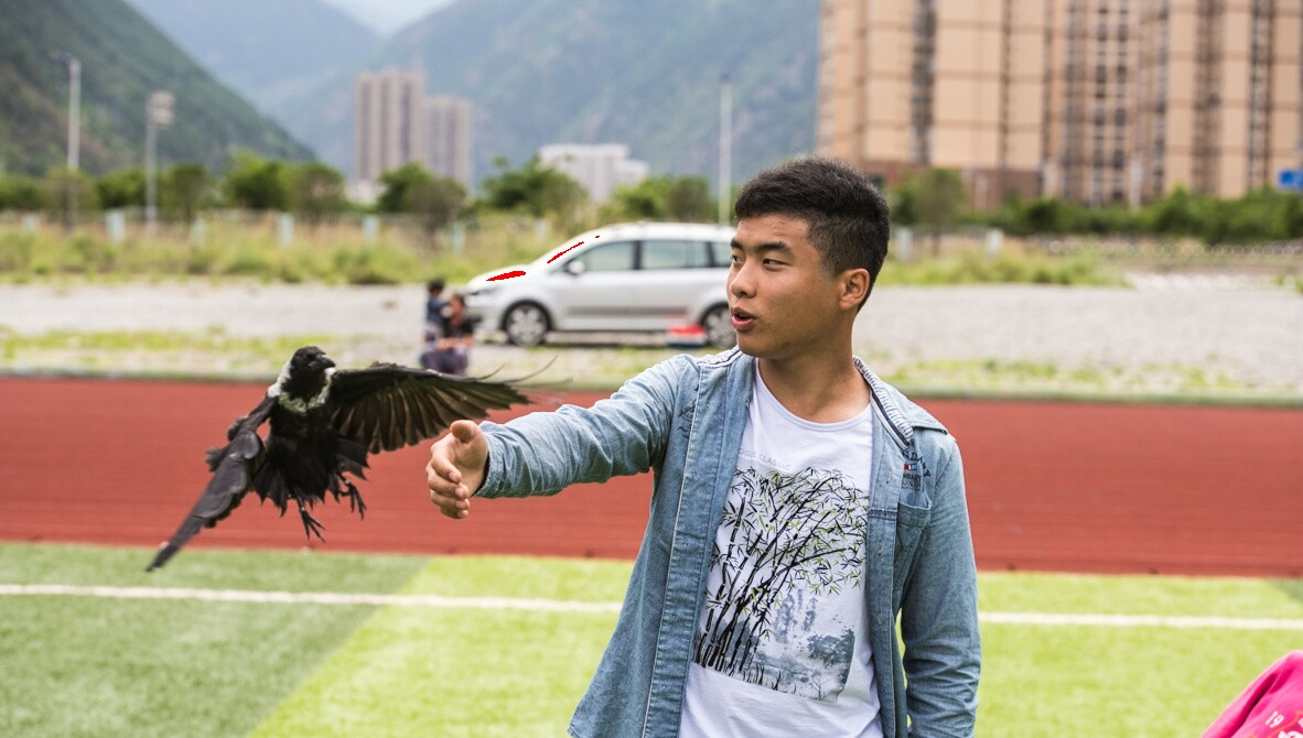 12岁少年鸟神,12岁天才少年懂鸟语