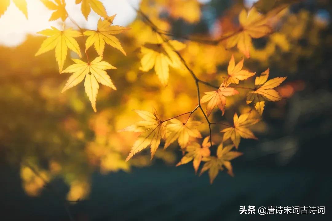 古人经典古训人生至理名言,古人涵养心性十句名言