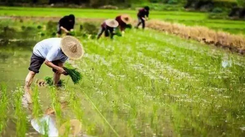 如果有一天我一无所有的句子,如果有一天你一无所有下一句是