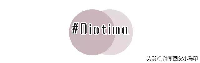 售卖假货引众怒,专柜售假