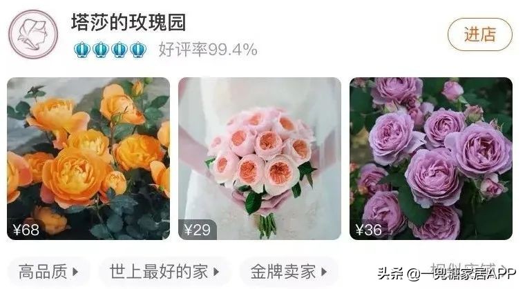 春天花会开|这20家植物淘宝店，植物杀手看了也想买！