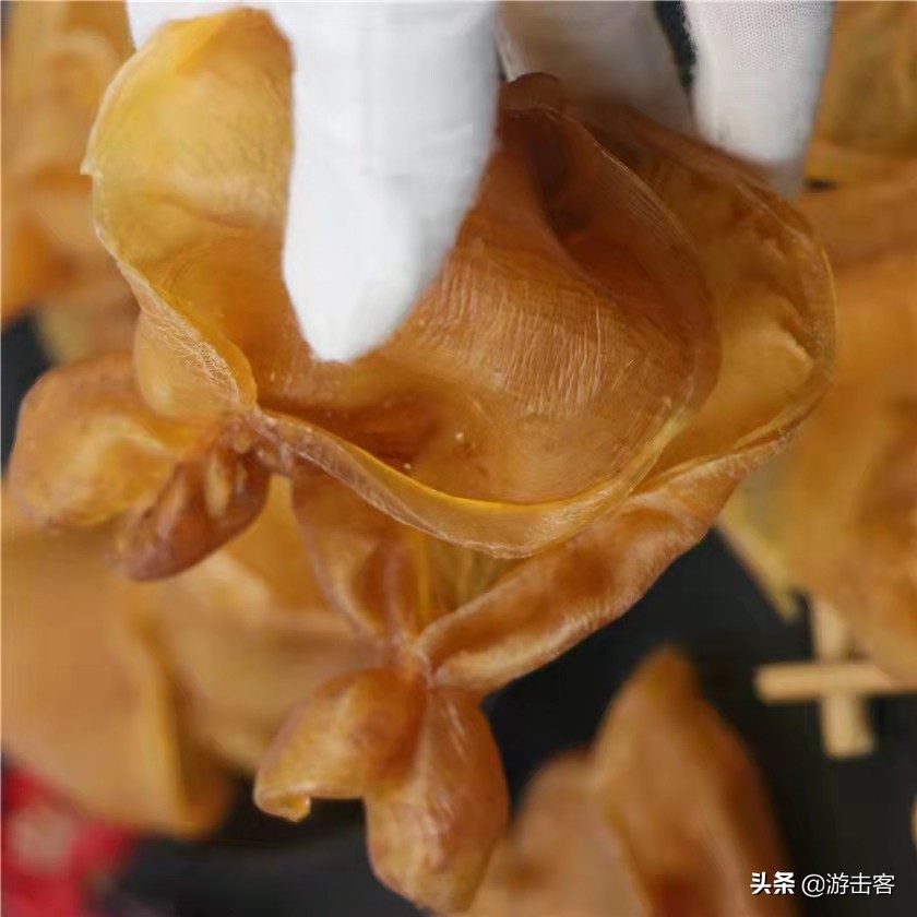 普通花胶冒充老花胶,鸡蛋胶假冒黄花胶