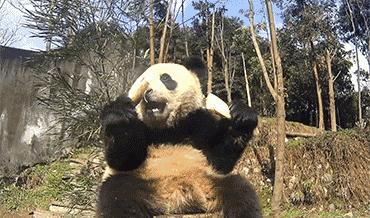 天空之城理塘最高海拔,天空之城世界最高的城市