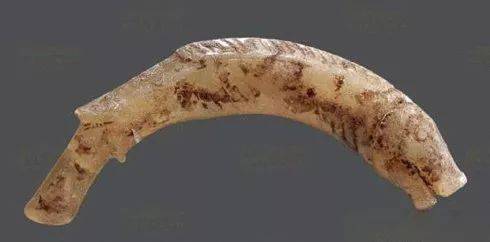 鸡血石与田黄石的结合,硬田黄石与田黄石