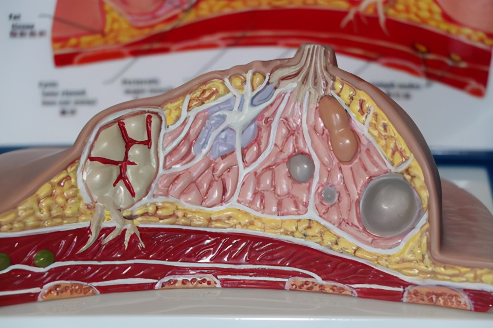 身体出现囊肿怎么治疗,身体出现哪几种囊肿要注意