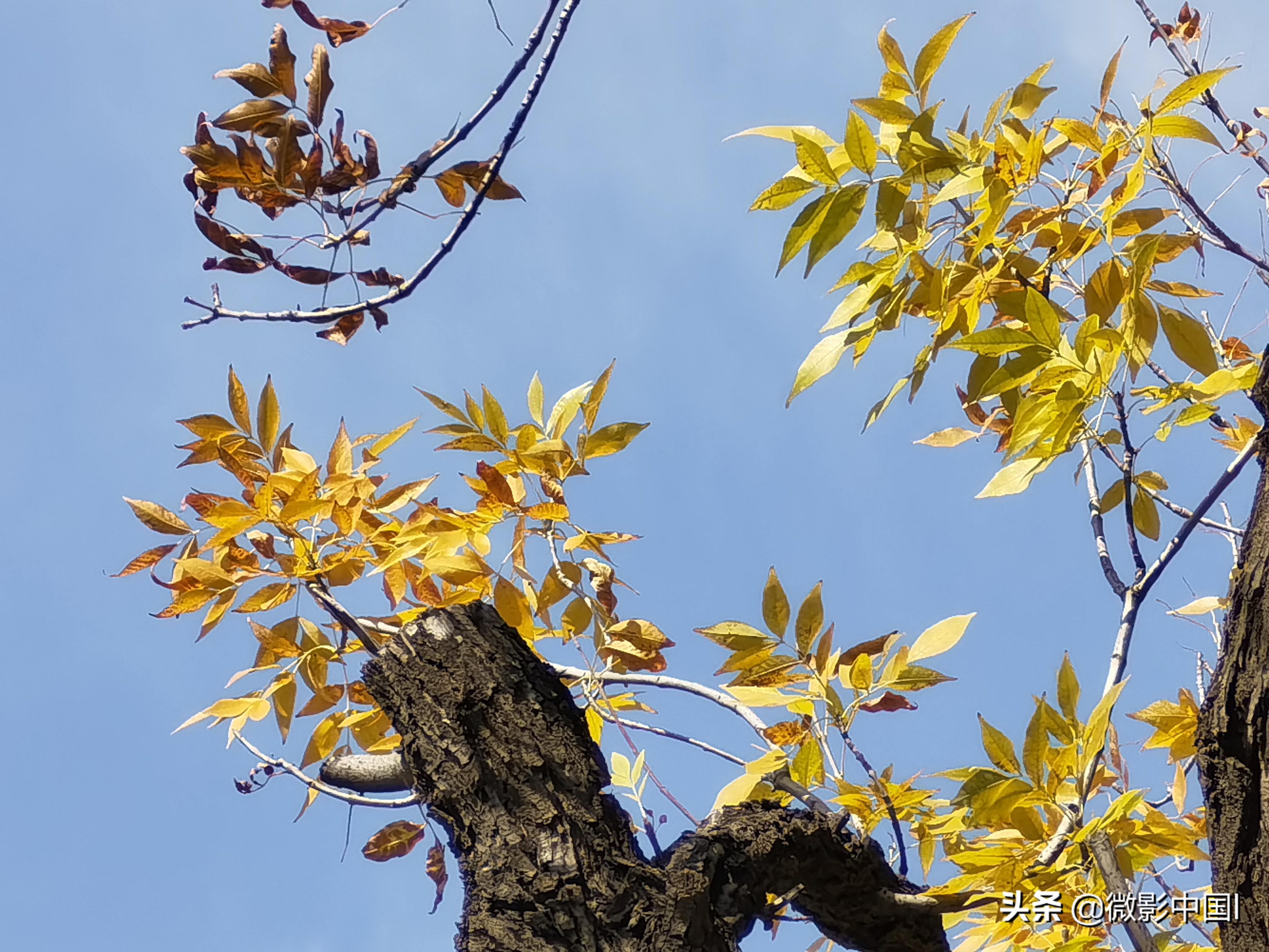 秋风雨韵华彩忆(四章)
