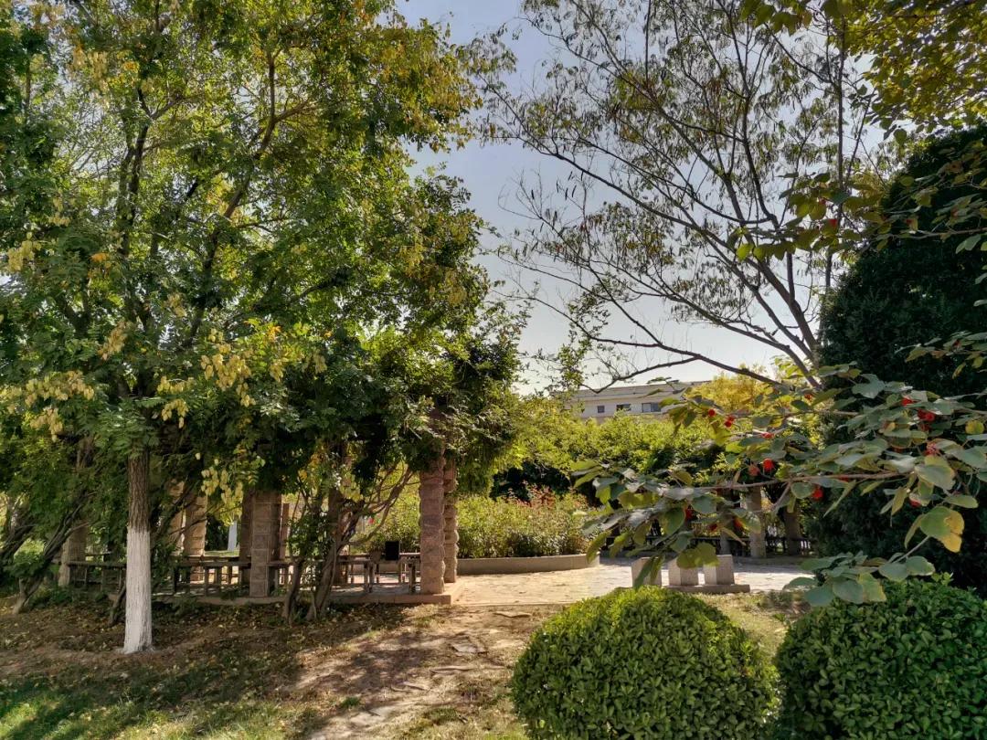 南开大学滨海学院天津排名,天津曾经的滨海学院