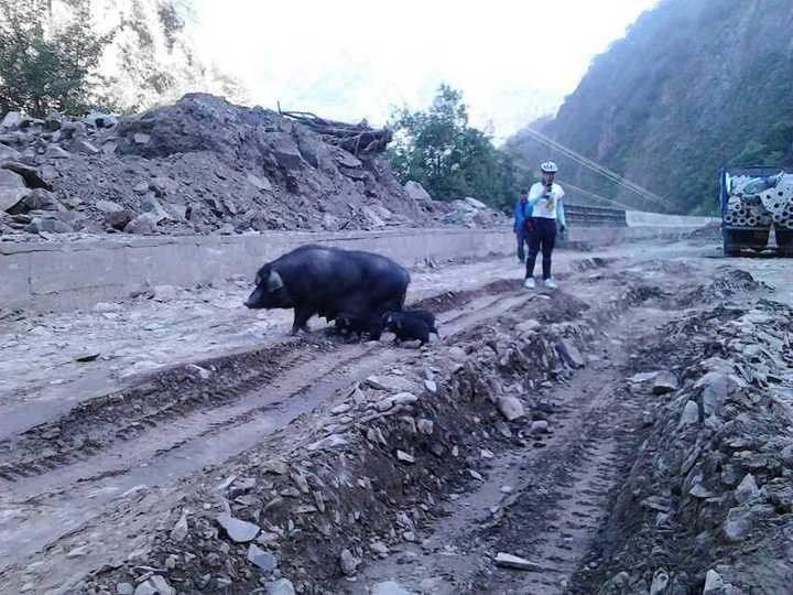 王小花的全部作品,王小花攻略