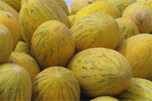 *疆新**水果在这里