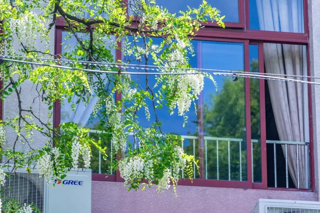 南京学区房新政策2021大片区化,南京学区房价格大跌