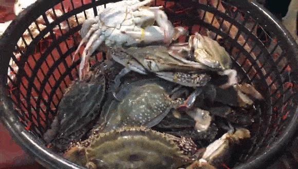 秦皇岛海鲜码头4月开海,秦皇岛开海海鲜