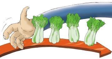 如何区分白马股和蓝筹股,大盘蓝筹白马股是哪些