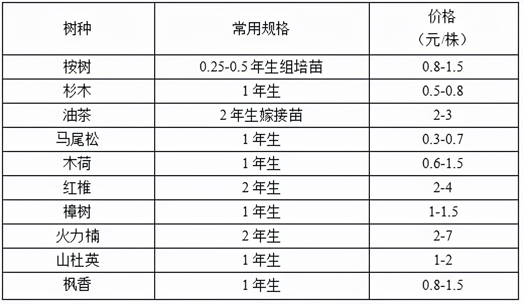 苗木市场前景预测2017,2023年下半年苗木价格报告