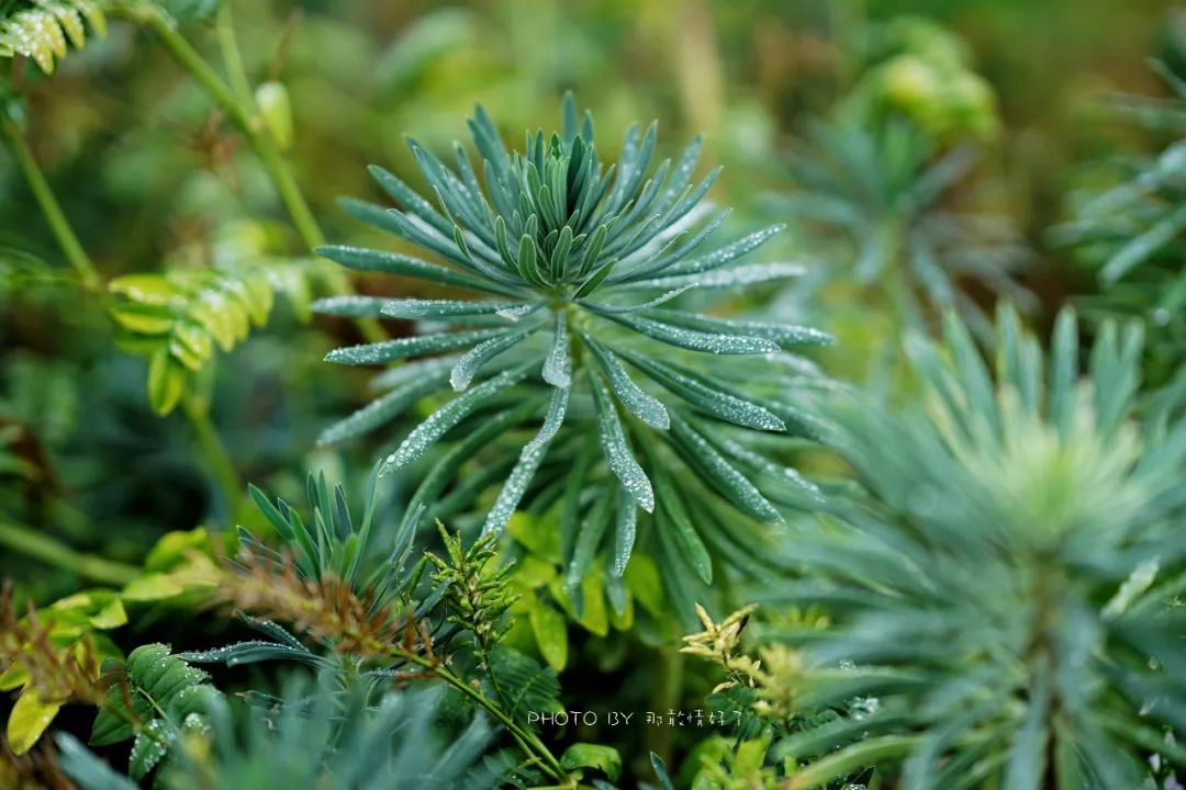 塔斯马尼亚幽灵之旅，夜访世界尽头190年历史闹鬼老监狱