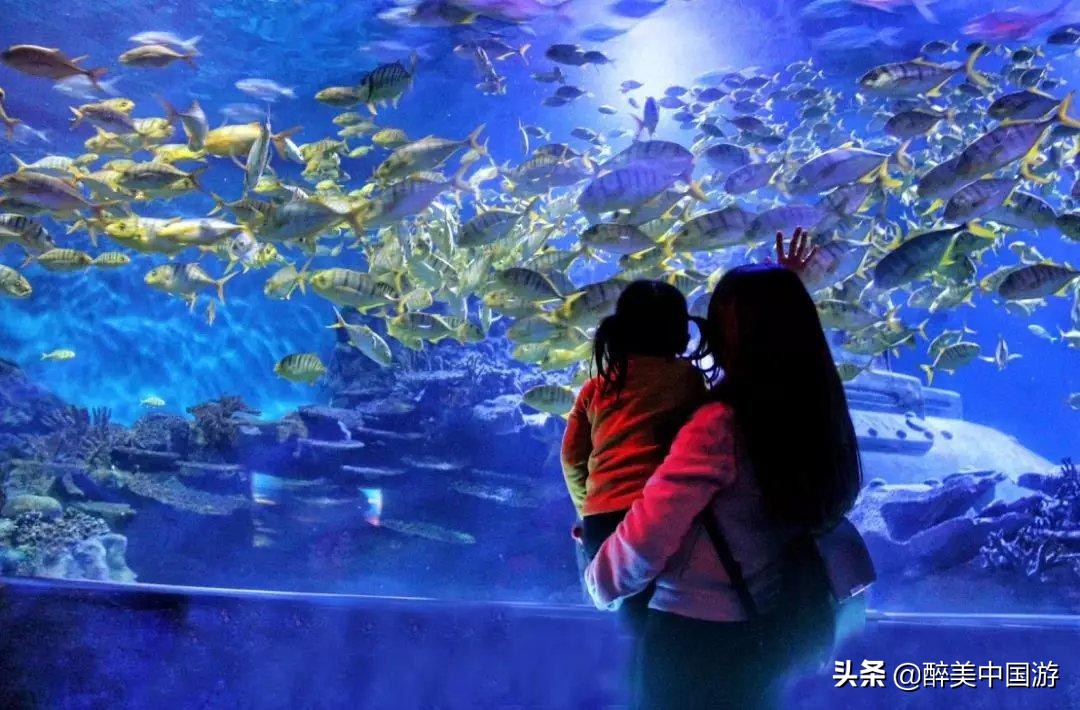 佛山海立方水族馆,探秘海洋公园
