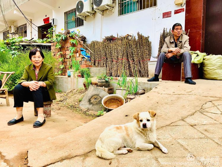 洛阳晚报作品,洛阳晚报2020年