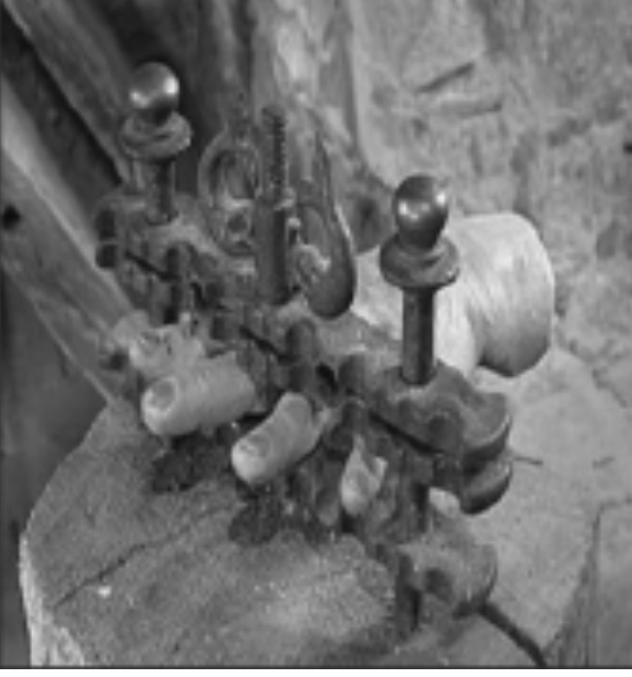 长见识啦深度解析,长见识了完整版视频