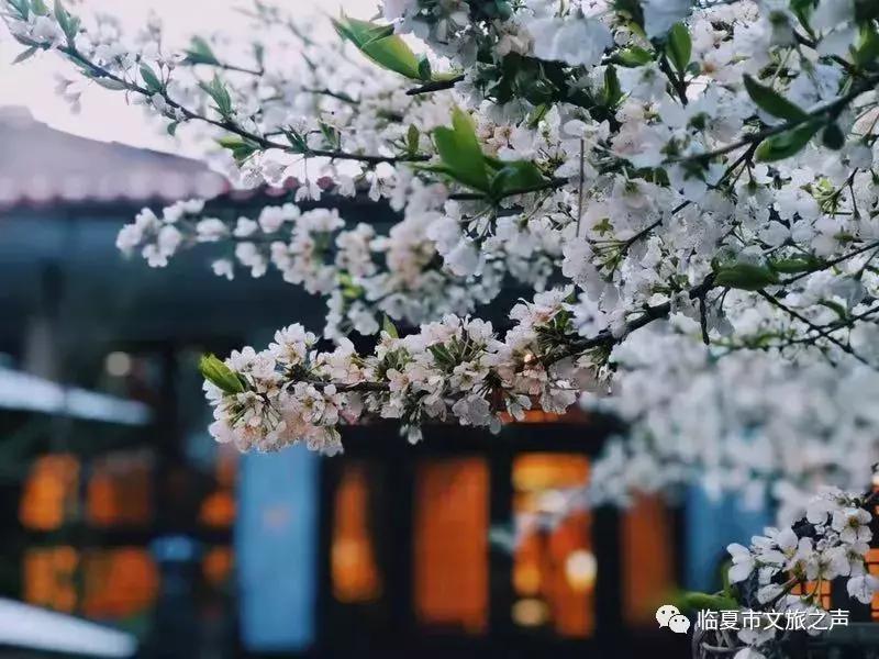 官宣：一带一路十余国青少年体育健儿，向您发来挑战书和邀请函。