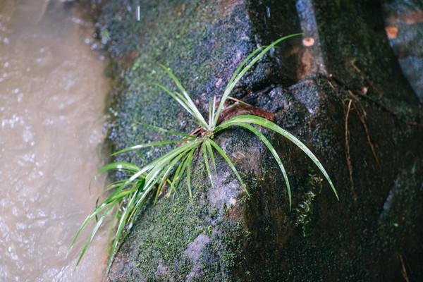 来大山里呼吸负氧离子,肇庆龙潭生态瀑布