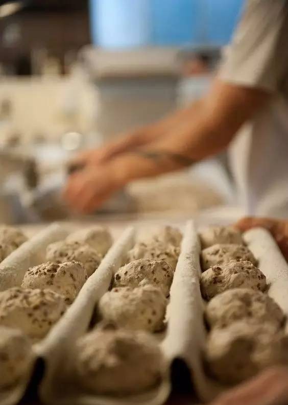 面包培训心得体会总结怎么写,面包学习经历