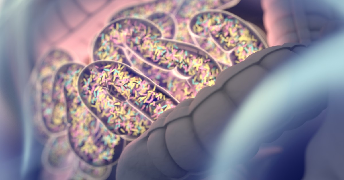 粪便移植的成功案例,粪便移植抗癌