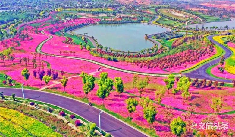 来到这个花田胜景小镇，拥抱“南国御养”健康生活目的地