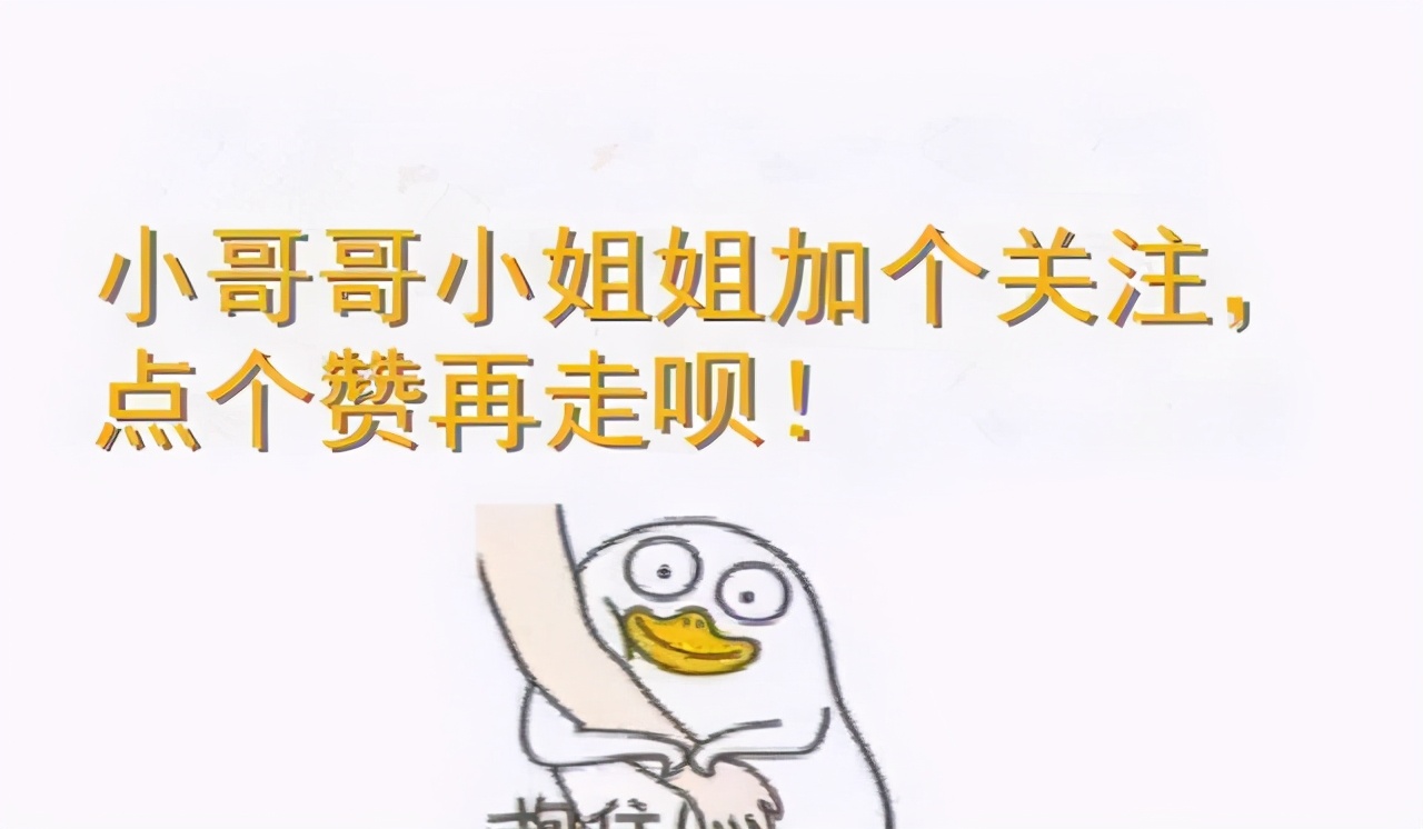 养猫必备好物｜新手养猫攻略