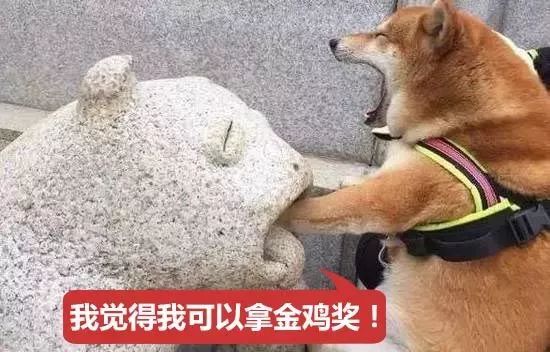 送亲戚年礼讲究什么呢,论过年亲戚的送礼