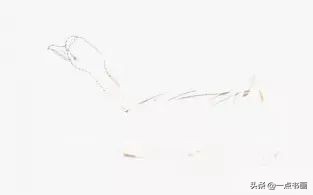 鹅画法可爱简单在陆地上行走,图文教程鹅写意画法