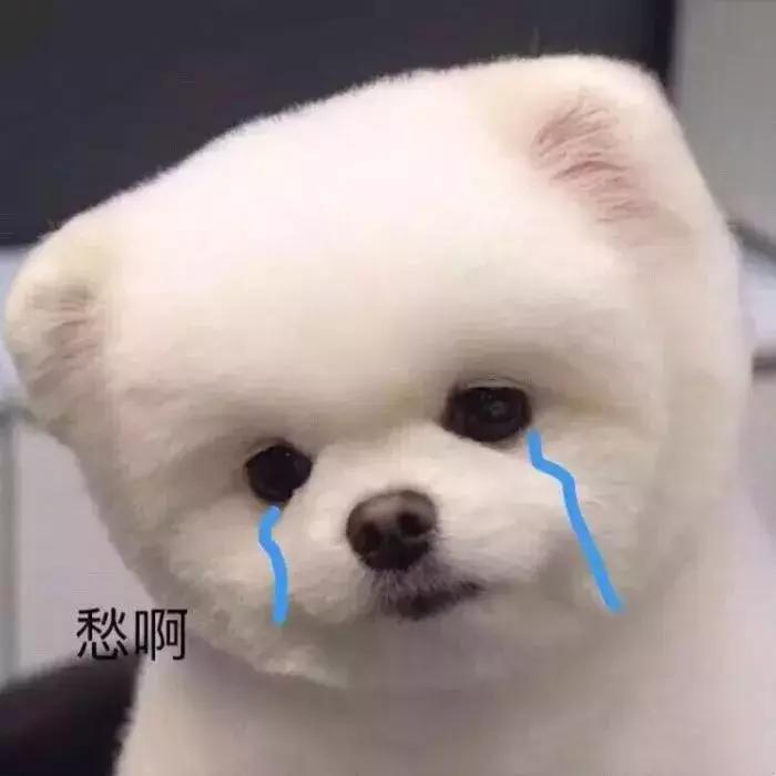 2018淘宝有什么新功能,用了十年淘宝都不知道的隐藏功能