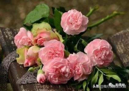 专家告诫不要相信的十大谣言,人民日报专家集体辟谣原文