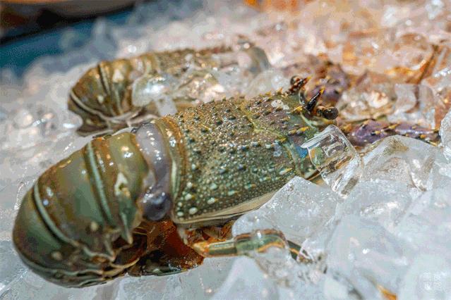 很好奇销售,很好奇为什么叫江浙沪