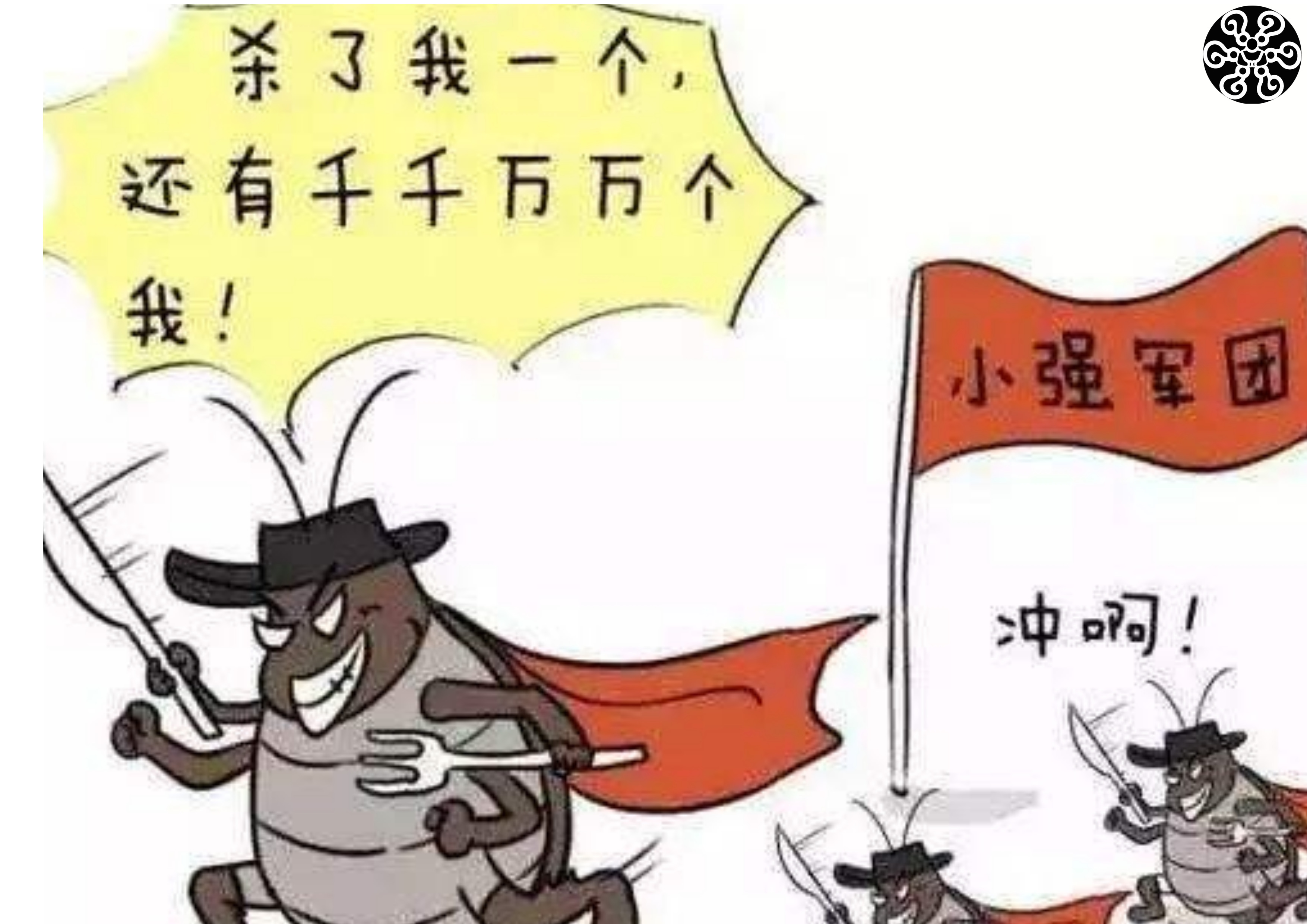 办公室有蟑螂怎么消灭,家里有蟑螂老鼠怎样能彻底消灭