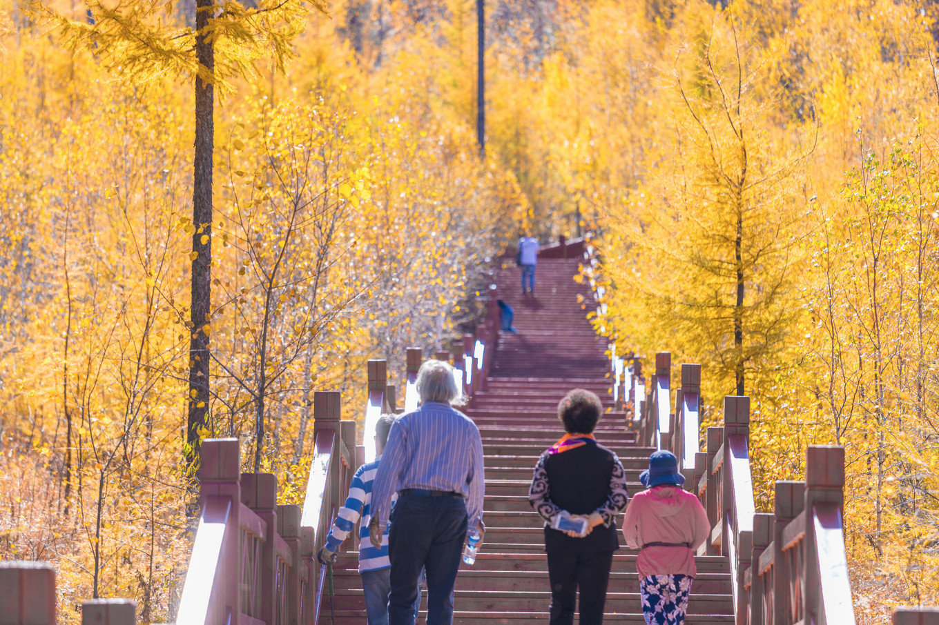 哈尔滨满洲里自驾路线,哈尔滨满洲里自驾视频