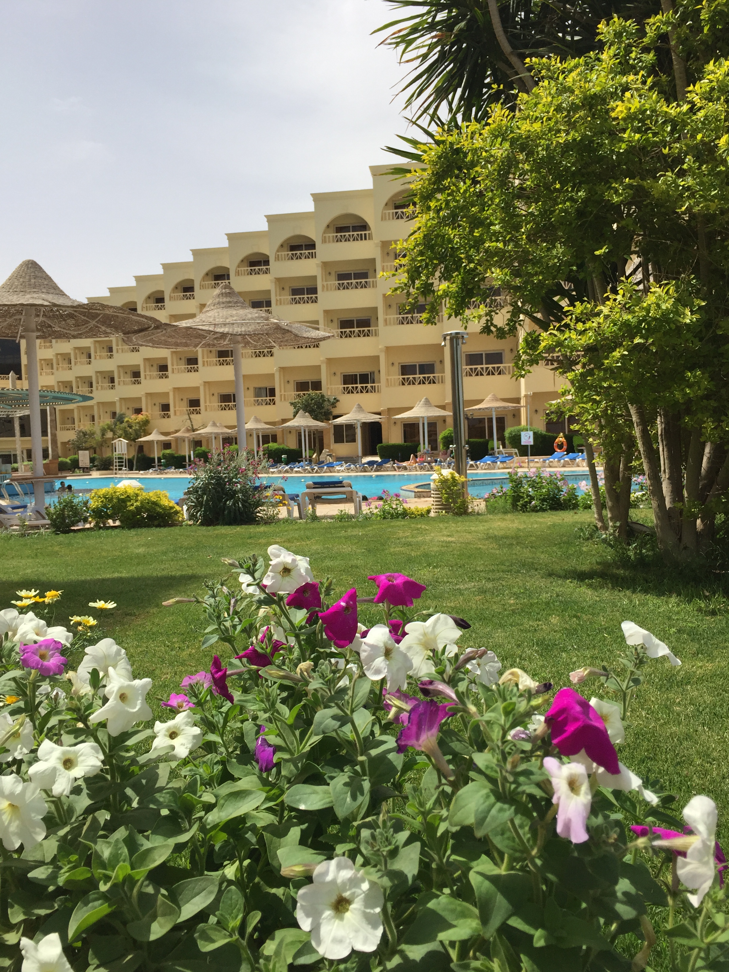 尼罗河畔古埃及文明,尼罗河畔的古埃及妇女