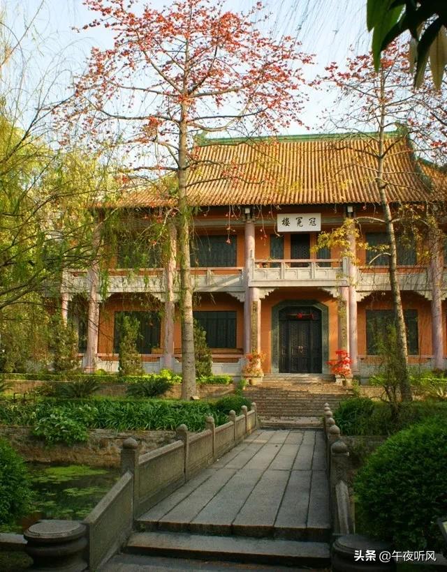 什么是麻精药品定义,什么是桃子女孩