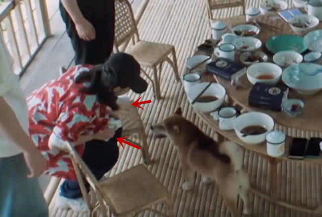 小h见到张子枫,小h探班张子枫